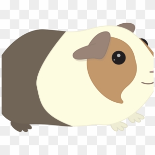 Clip Freeuse Stock Free On Dumielauxepices Net Real - Transparent Background Guinea Pig Png