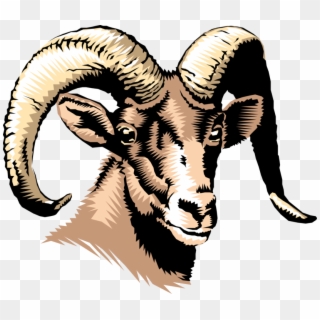 Vector Illustration Of Thinhorn Dall Sheep Head And - Richwood High School Logo Clipart