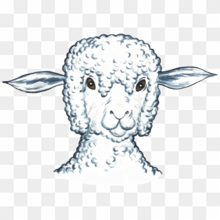 Sheep Head Template - Sheep Clipart