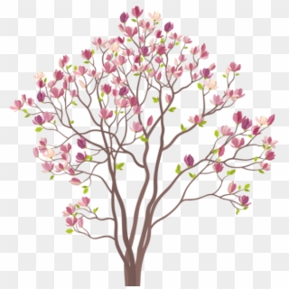 Árvores Árvore Folhas Rosa 2 Png - Magnolia Tree Vector Clipart