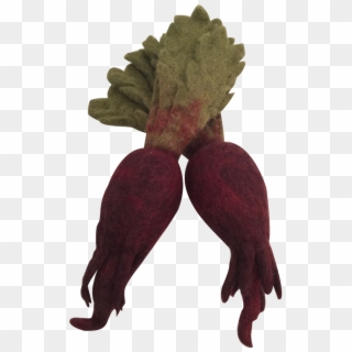 Beetroot The Salt Tribe - Beetroot Clipart