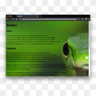 André Staltz - Insect Clipart