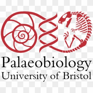 Red And Black And Transparent, 1500 Dpi, Png - University Of Bristol Palaeobiology Clipart