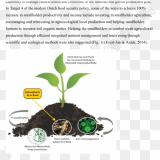 Biofertiliser Technology Employs Plant-microbe Interactions - Biofertilizer In Crop Production Clipart