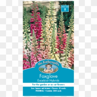 Mr Fothergill's Foxglove Excelsior Seeds - Foxgloves Bunnings Clipart