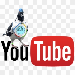 Suscríbete A Nuestro Canal - Youtube Clipart