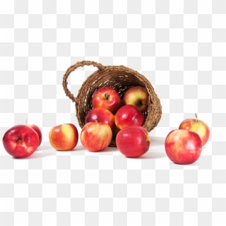 Home » Recipes » Apples - Mcintosh Clipart