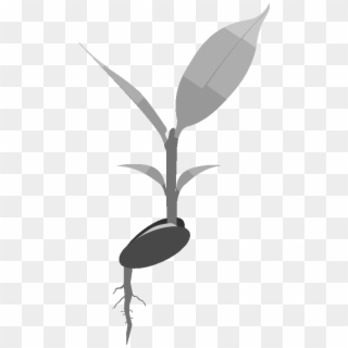 Input Plant And Root Clipart