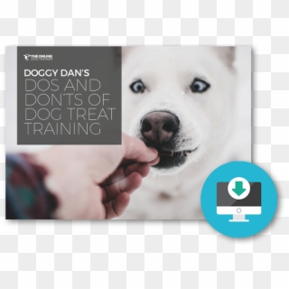 Dos And Don'ts Of Dog Treat Training - Dog Clipart