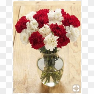 Red & White Allure - Red And White Carnation Bouquet Clipart