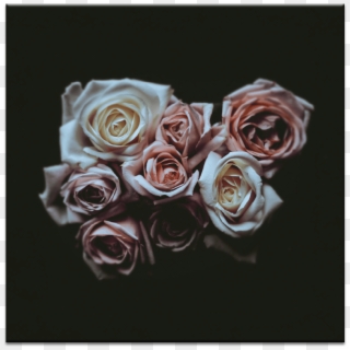 Rose Bouquet - Wallpaper Clipart