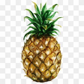 Pineapple Clip Art & Pineapple Png Image - Pineapple Watercolor Illustrations Png Transparent Png