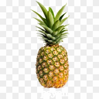Go To Image - Pineapple Free Clipart