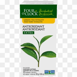 Antioxydant Extra - Herbal Tea Clipart