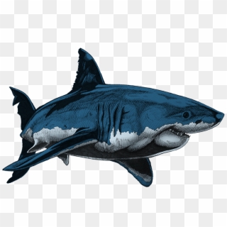 Dark Colours - Shark Texture Drawing Clipart