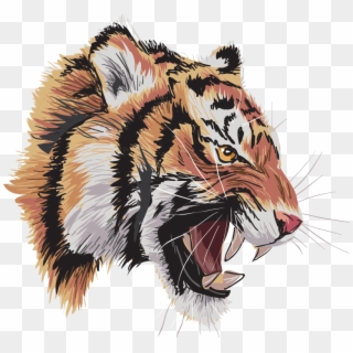 Tigre2iz Oscar Gamarra Bravo 2018 12 06t13 - Siberian Tiger Clipart