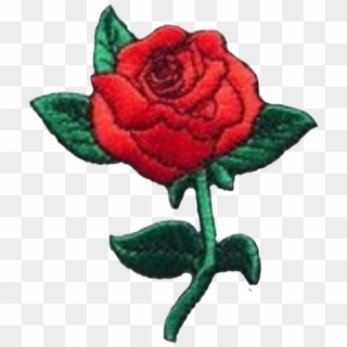 #patch Rose #patch #red Rose #art #clothes Art - Floribunda Clipart