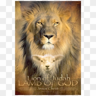 Lion Of Judah Wall Art - Lion Of Judah Lamb Of God Clipart