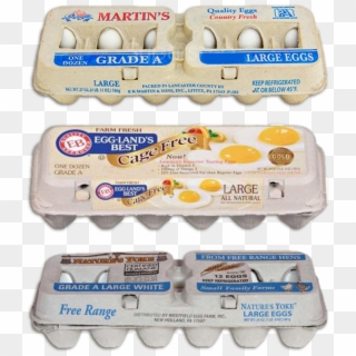 Display The Image Of Egg Cartons Representing Three - Eb Eggs Clipart