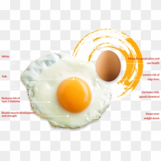 Contacts - Fried Egg Clipart
