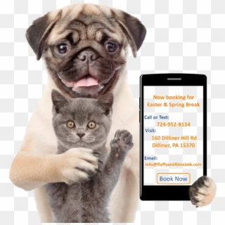 If You're Anything Like Us, You Hate Leaving Your Pets - Dog And Cat Beer Clipart