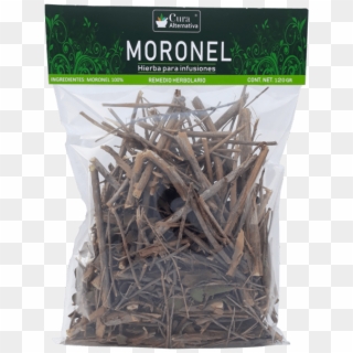 Planta Moronel - Moronel Para Que Sirve Clipart