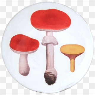 Edible Mushroom Clipart