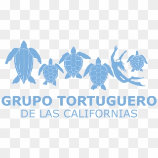 Grupo Tortuguero De Las Californias Clipart