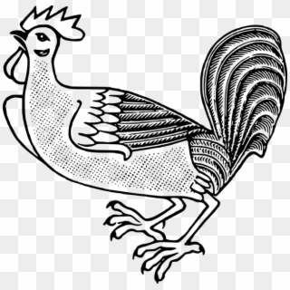 Farm Animal Cockerel Rooster Clipart