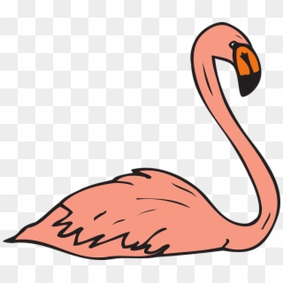 Flamingo Swimming Clipart - Png Download