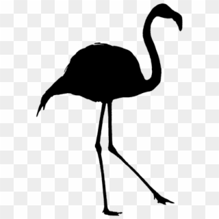 Silhouette Flamingo Outline Bird Shadow - Icon Flamingo Png Hitam Clipart