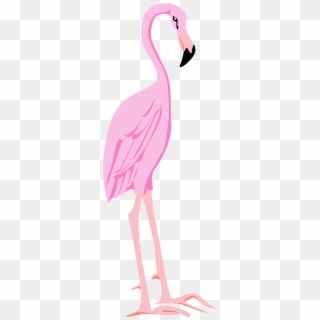 Flamingo Bird Wings - Crane Clipart