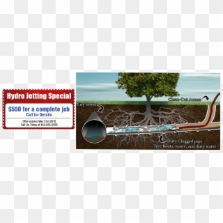 Plumber Fixing Pipe - Water Pipe Tree Roots Clipart