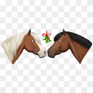 Star Stable Christmas Stickers Messages Sticker-5 - Star Stable Online Sticker Clipart