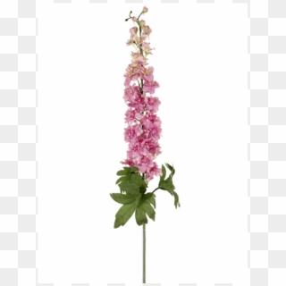 40" Delphinium Spray With 26 Flower And 6 Buds Pink - Delphinium Pink Png Clipart