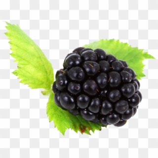 Blackberry Png - Portable Network Graphics Clipart
