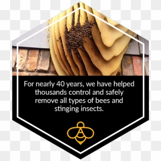 Live Bee Removal Specialists Throughout North Texas - Emblem Clipart