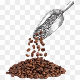 Scoop - Coffee Clipart