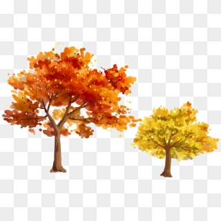Autumn, Tree, Leaf, Plant Png Image With Transparent - Autumn Trees Illustration Png Clipart