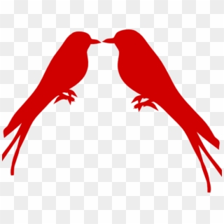 Love Birds Clipart Branch - Parrot - Png Download