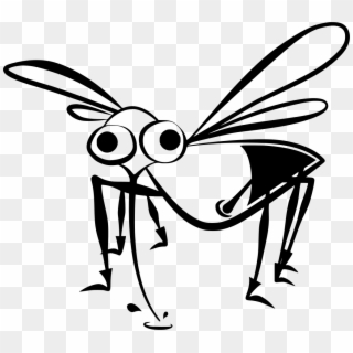 Download Png - Mosquito Clipart Black And White Png Transparent Png