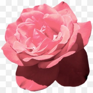 Aesthetic Tumblr Flower Pink Vaporwave - Aesthetic Pink Flower Png Clipart