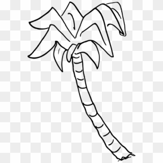 Sabal Palm Palm Trees Drawing Coloring Book Computer - Draw A Sabal Palm Tree Clipart