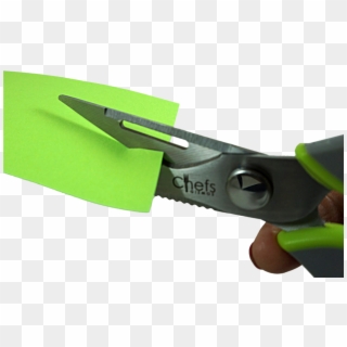The Shears Come Apart For Easy Cleaning - Diagonal Pliers Clipart