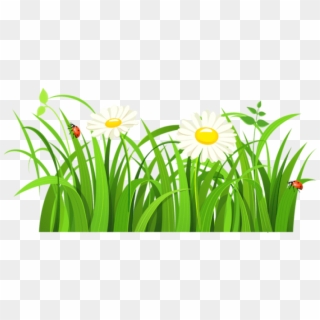Free Png Download Grass With Daisies And Lady Bugs - Grass Clipart Transparent Png