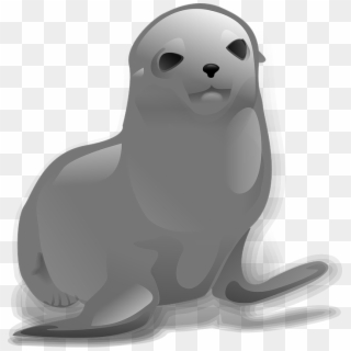 Download Harbor Seal Png Transparent Images Transparent - Seal Clip Art