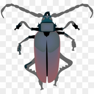 Free Vector Insect - Vector Insect Gif Clipart