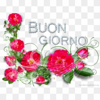 Good Morning Stunning Pic Of - Good Morning Images In Italian Language Clipart