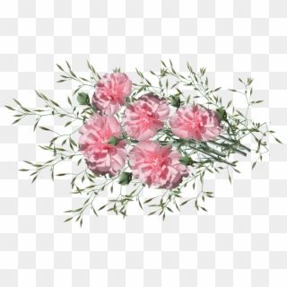 Carnations, Flowers, Nature, Garden, Plants - Onkruid Png Clipart
