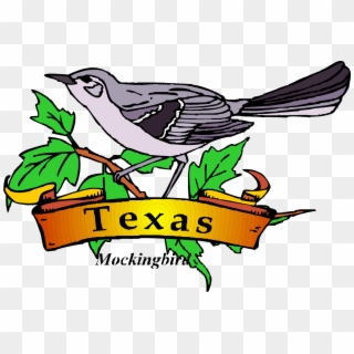 Texas Theme Cliparts - Texas State Bird Clipart - Png Download